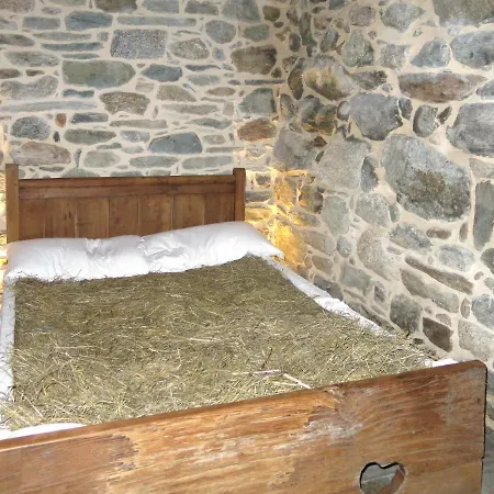 Appartement Locazione Turistica Petit Combin - Vpe105 *